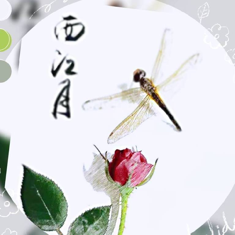 9c12087a9e2251e08ae649740898f276.jpeg