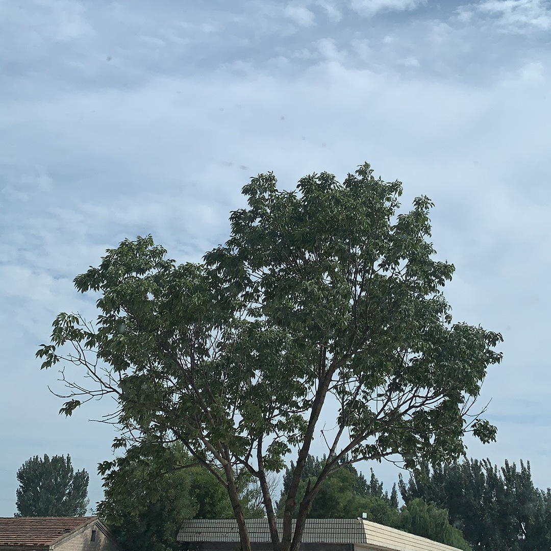 2019-2020年佛山市南海区桂城街道流管专管员招聘试题及答案.docx