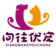 如何让猫咪喜欢你,缅因猫哪里买好,缅因猫多少钱一只,宠物知识