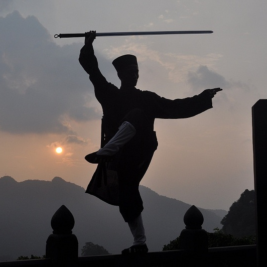 武当太极十三势教学版,托势练习需达到沉心静气,混元合一