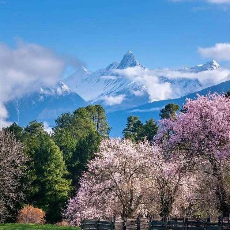 十三行拿货 b9478406623ee5f59016513534993153.jpeg