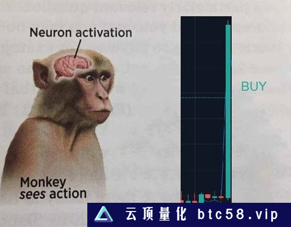 LTC 减半 70 天倒计时：市场的冷漠与未来前景分析