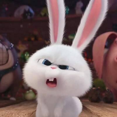 两者优势技能对比与解读 出装的对比与解读 通过实战细节解读克制之法