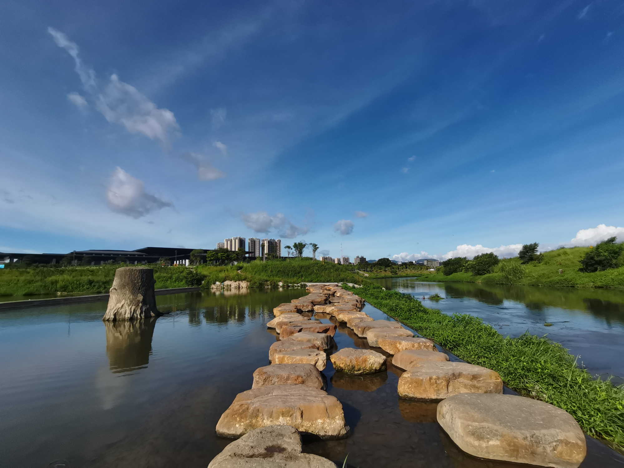 小荷才露尖尖角,早有蜻蜓立上头