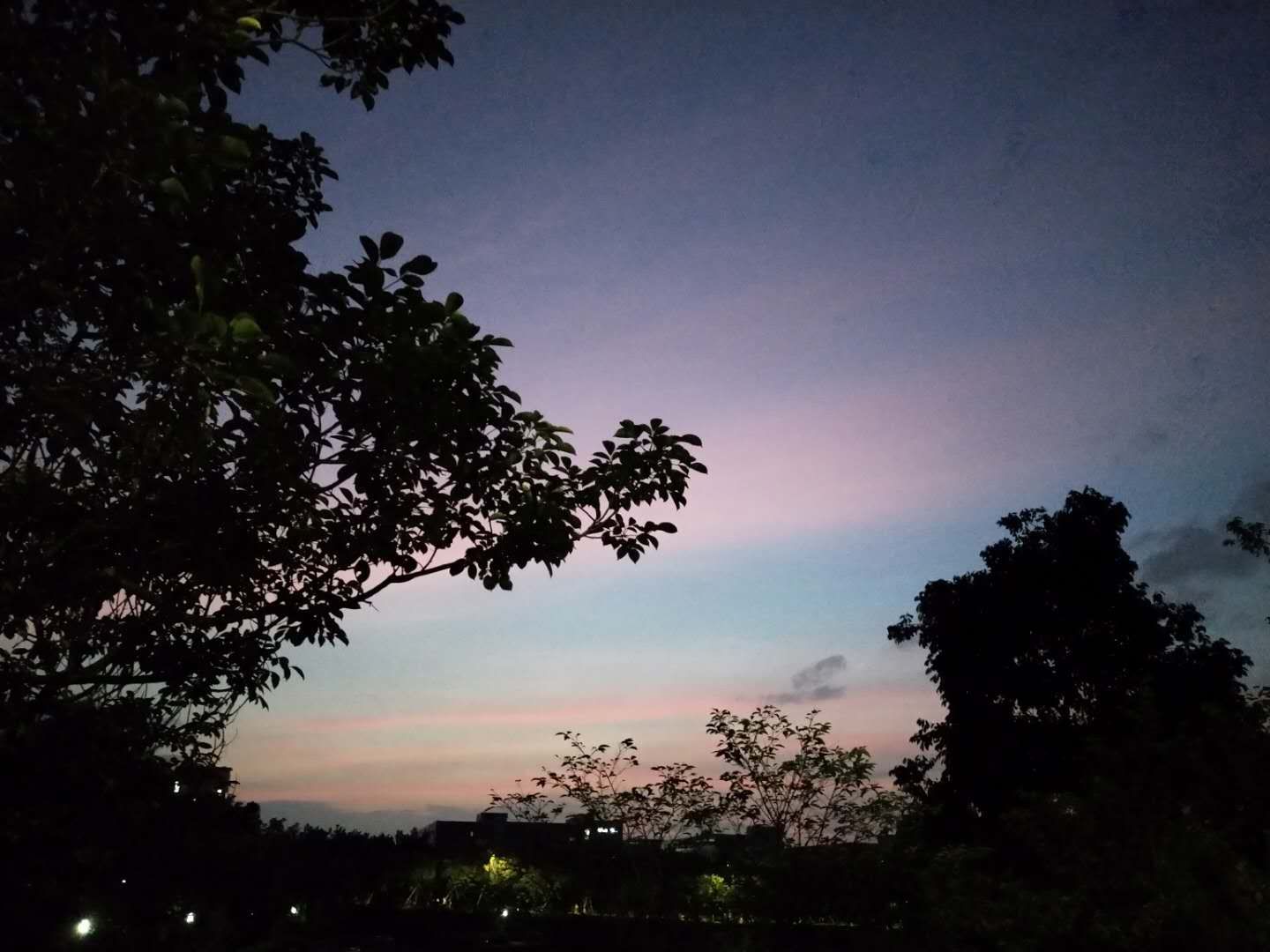 拳击男相志伟在高速上"一战成名",10秒内ko两男子,被罚款1000