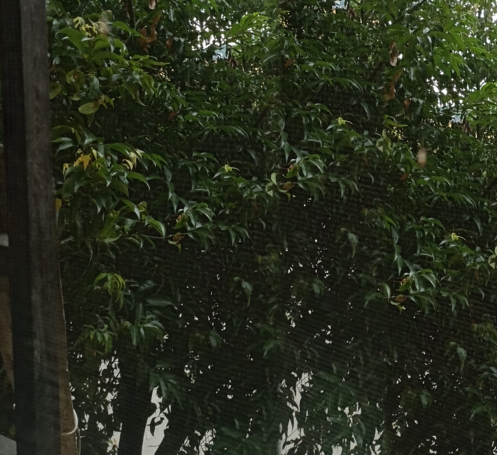 《82年生的金智英》从金智英看到自己的影子