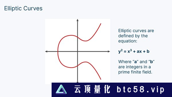 Figment Capital：深入解读零知识证明加速