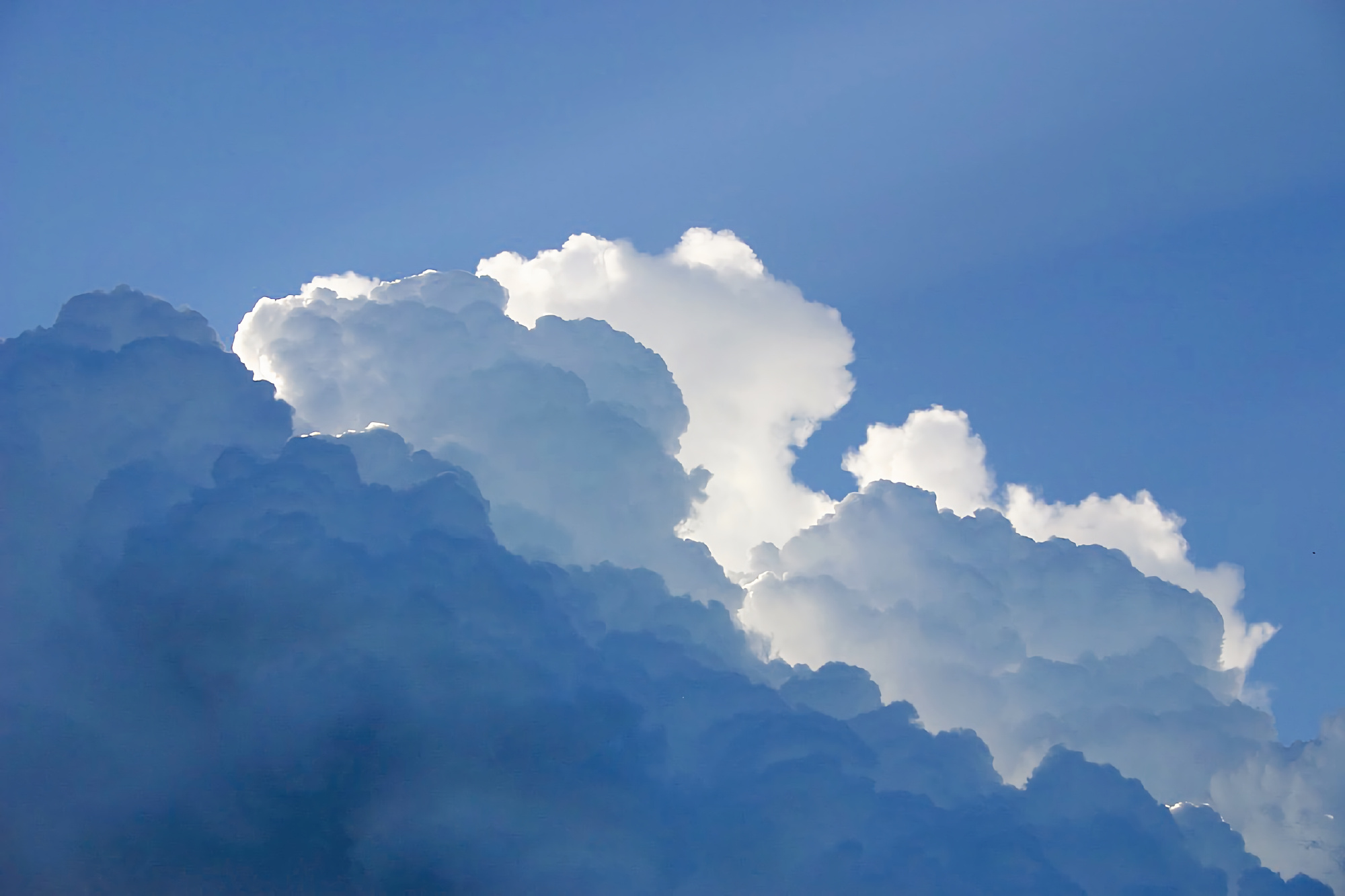 为一个不认识她的男人奉献自己一生?女人该如何树立正确的爱情观