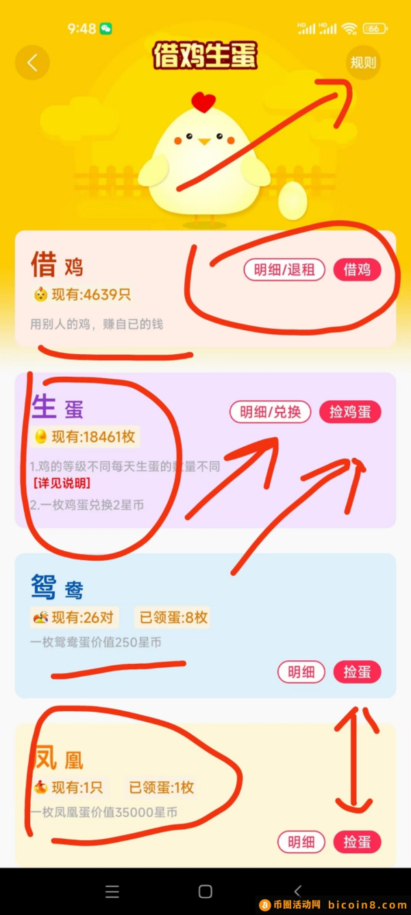 租鸡送鸡，内部理财渠道，稳定赚息平台，错过拍大腿！