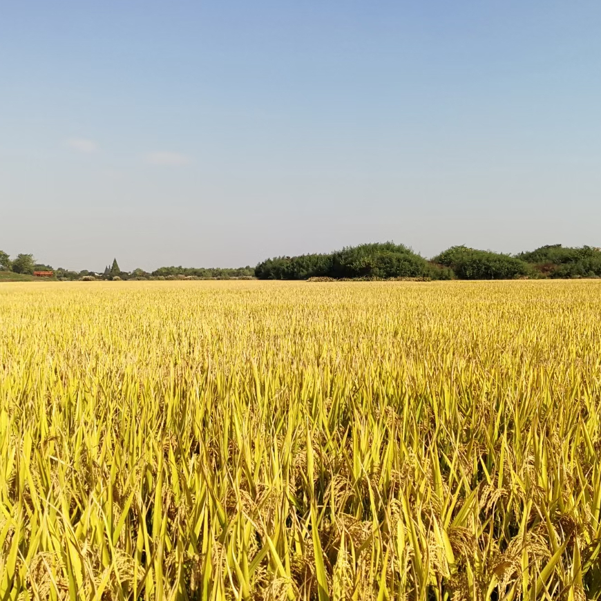 寒亭區 研學基地 中小學生勞動實踐基地 研學旅行