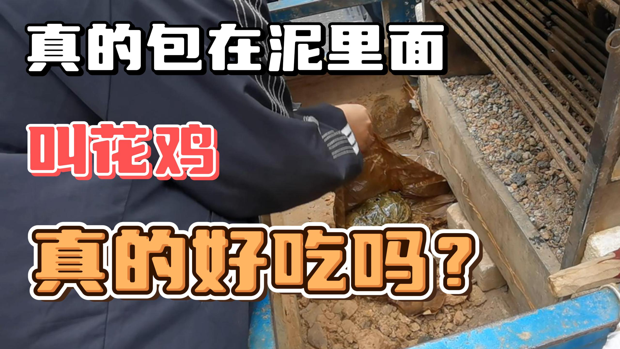 突然看到有卖叫花鸡的,没吃过,真的是包在泥里面的,真的好吃吗