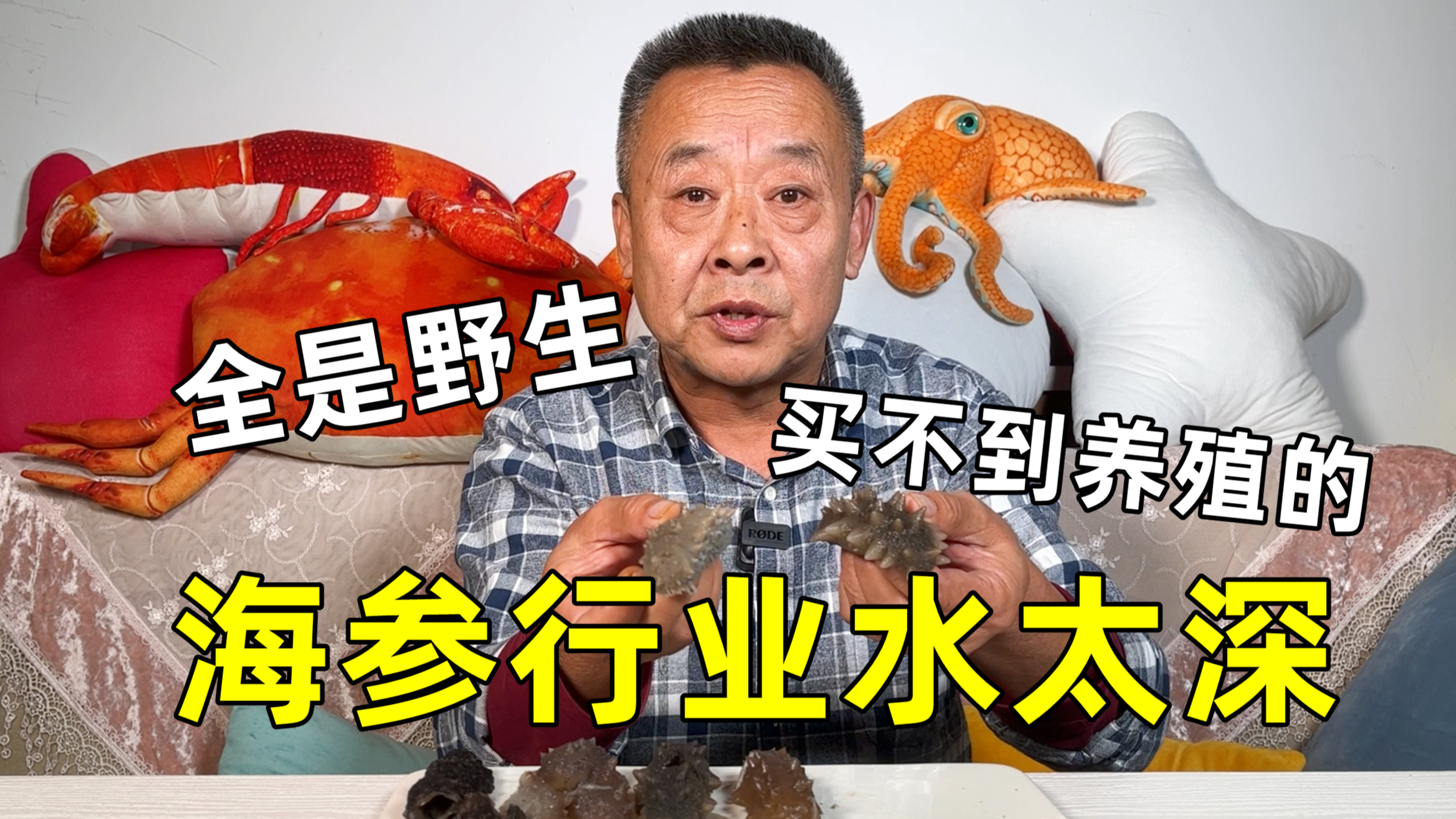 海参行业水太深，几十元就能买到野生海参？