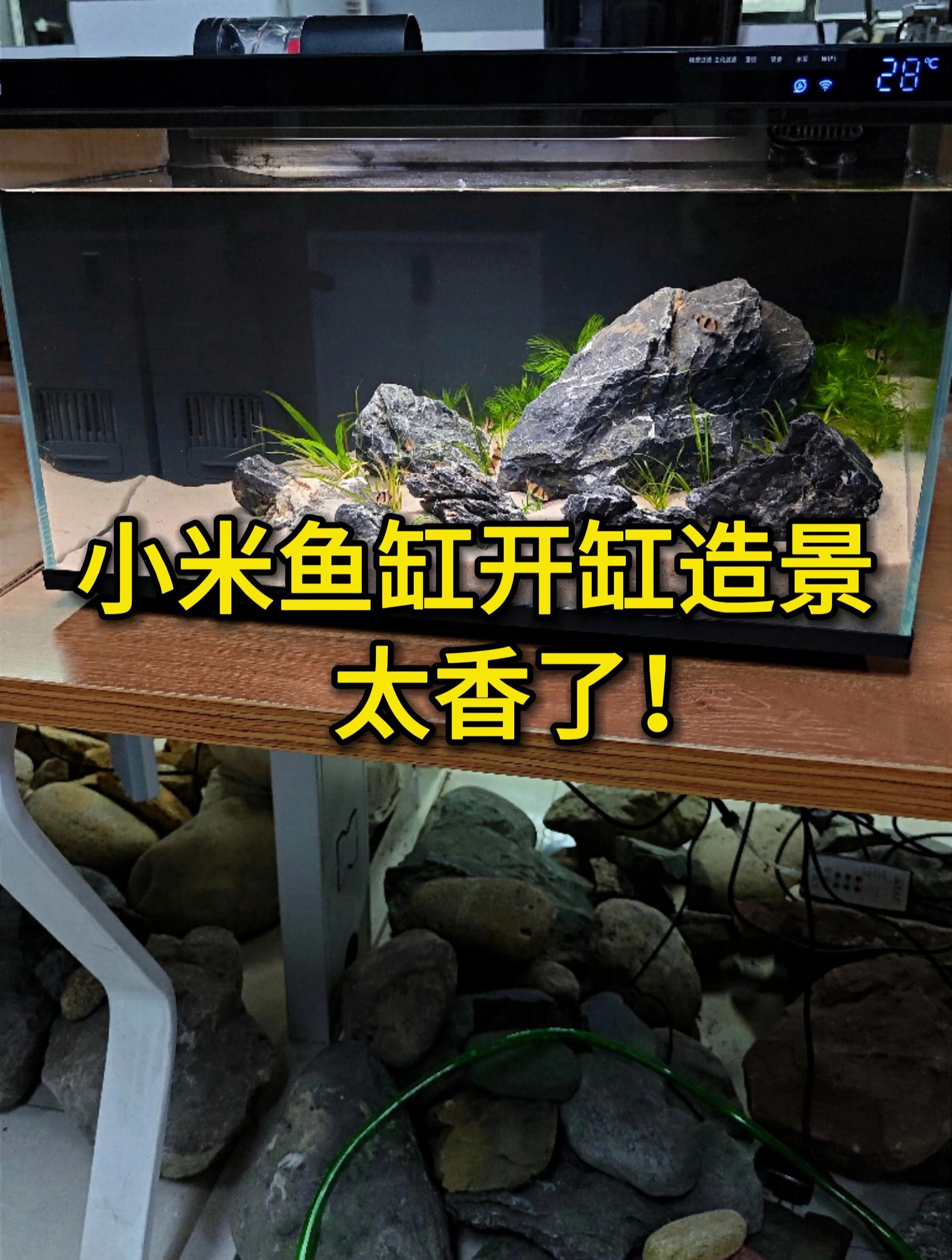 小米鱼缸造景方案,太香了!详细的开缸教程