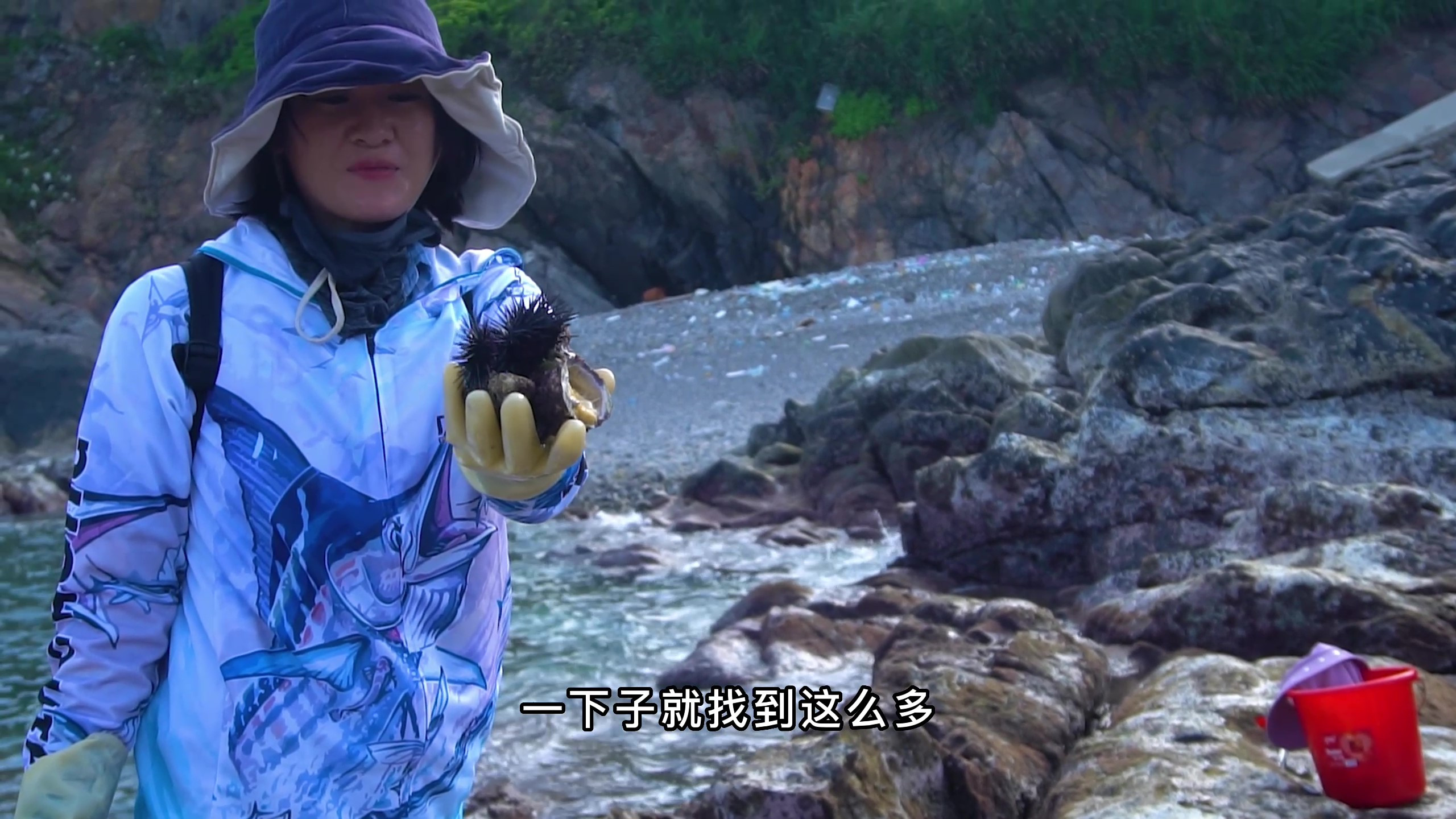 阿渔妹去到海上荒岛赶海,这里太远平时没人来,全是好货超过瘾