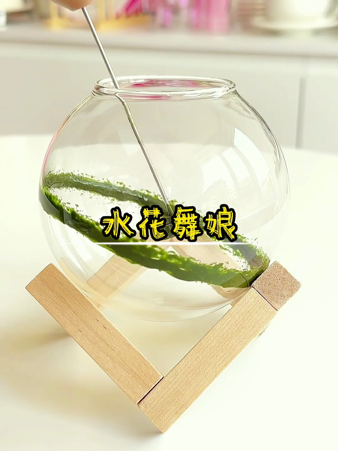 水花舞娘_「蓝剑」_2(40)