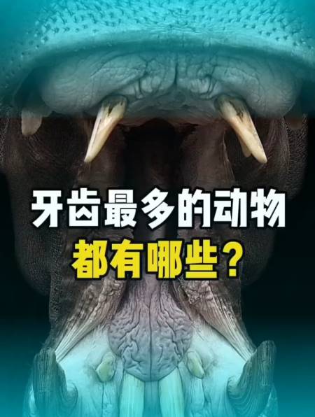 世界上牙齿最多的10种动物,最后一种牙齿你都数不清-度小视