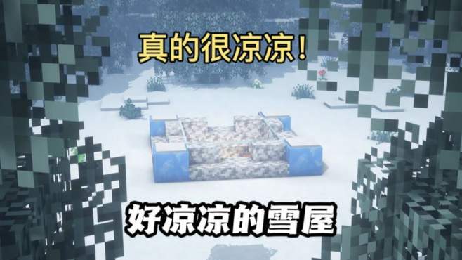 [图]我的世界，好凉凉的雪屋地下室，寒风搜搜的