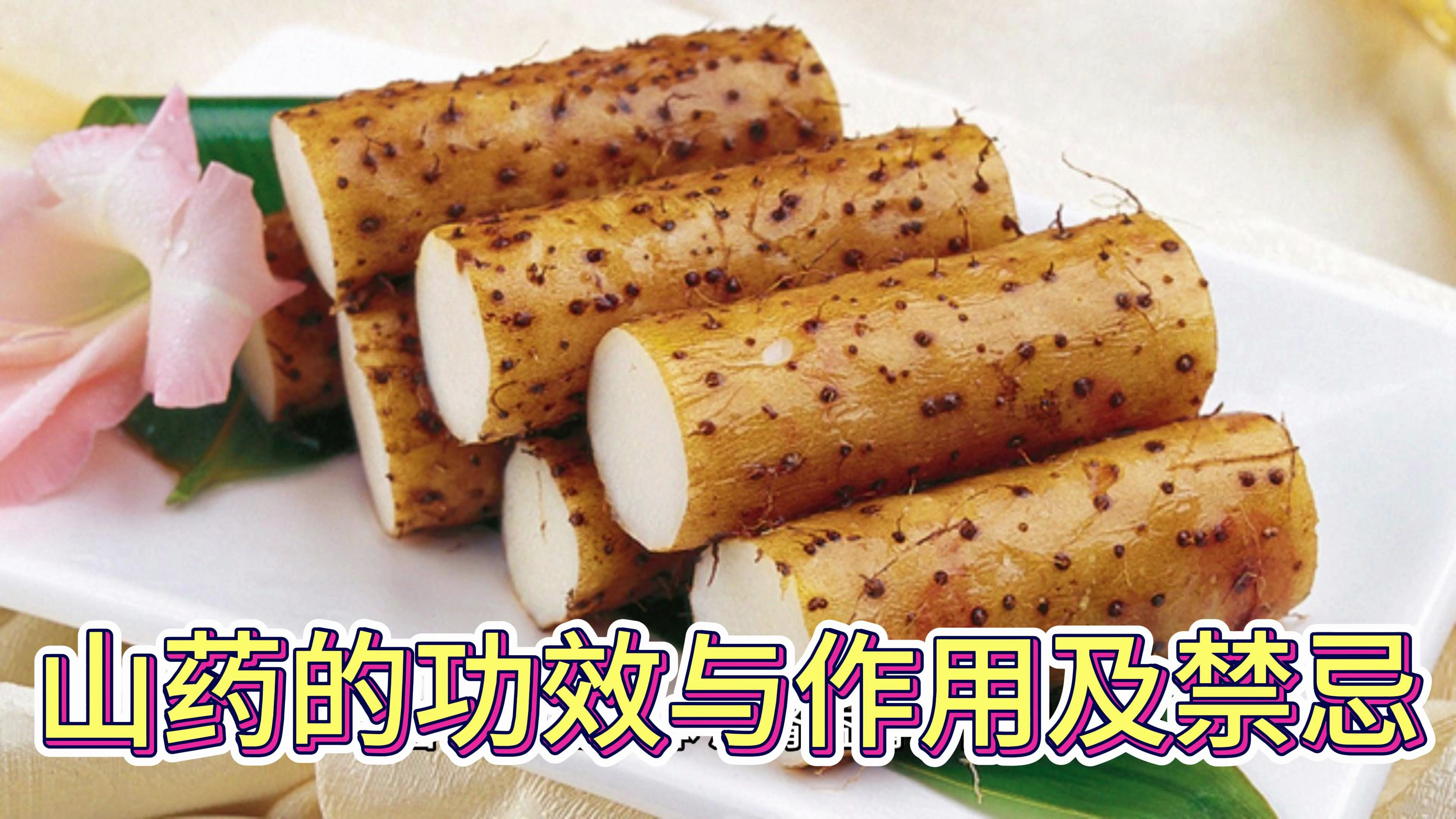 山药的功效与作用及禁忌