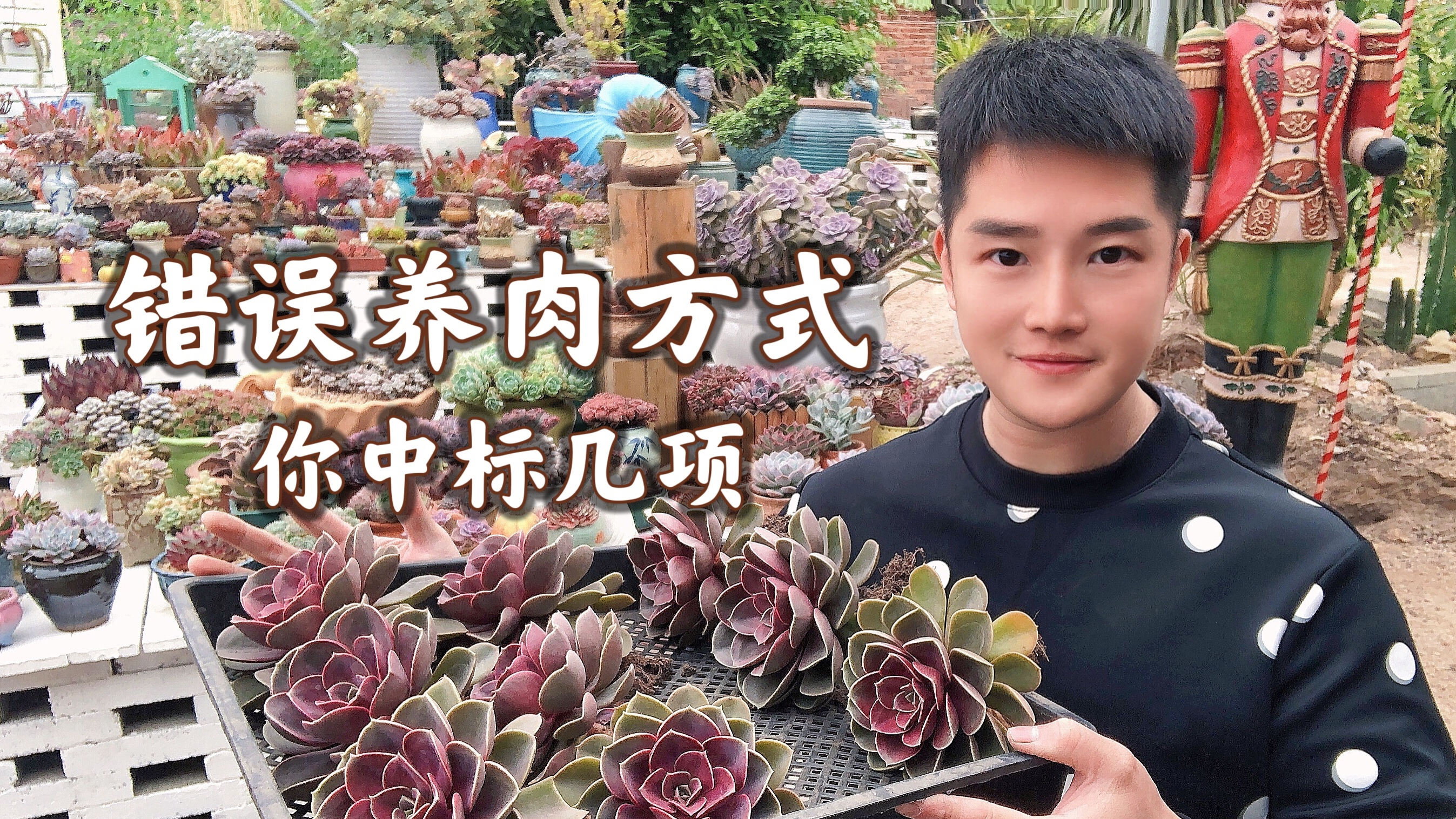 瞎折腾的养多肉方式,你中招了几项?快点改正过来!