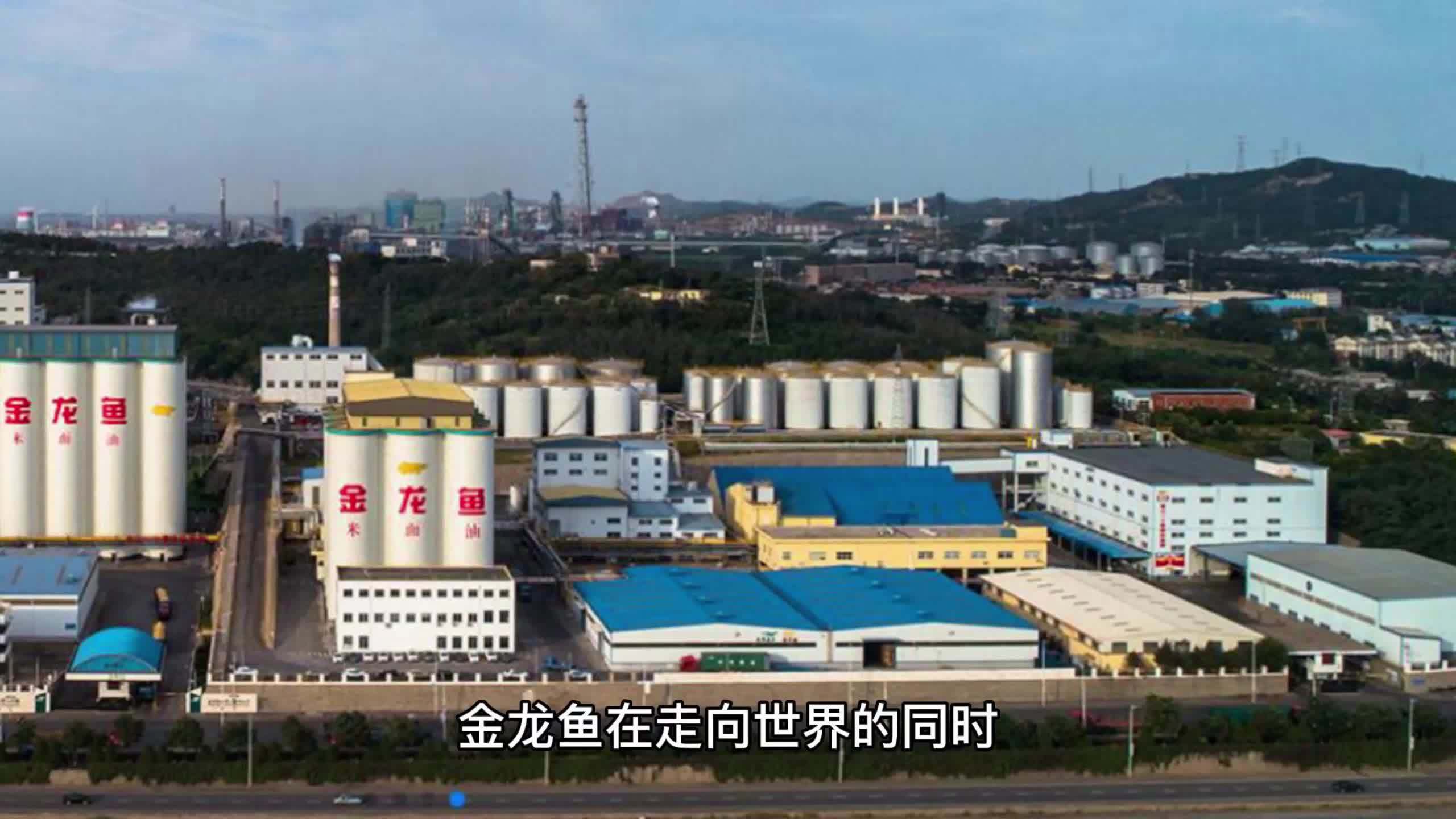 金龙鱼是哪个国家的品牌?走向世界的中国品牌