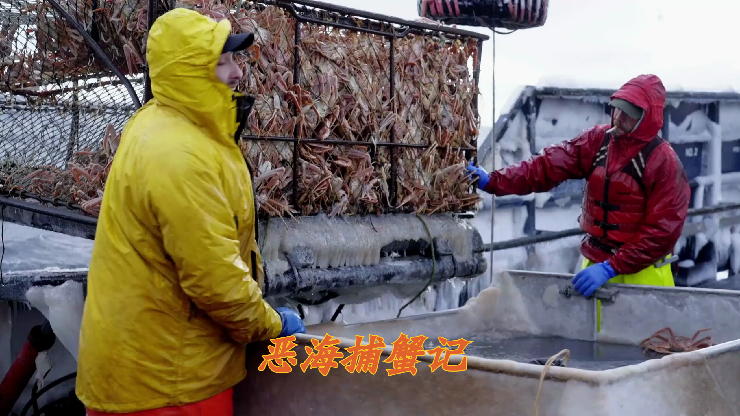 恶海捕蟹记 杰克船长出海捕捞鳕鱼,蟹笼却收获着满笼雪蟹真的香