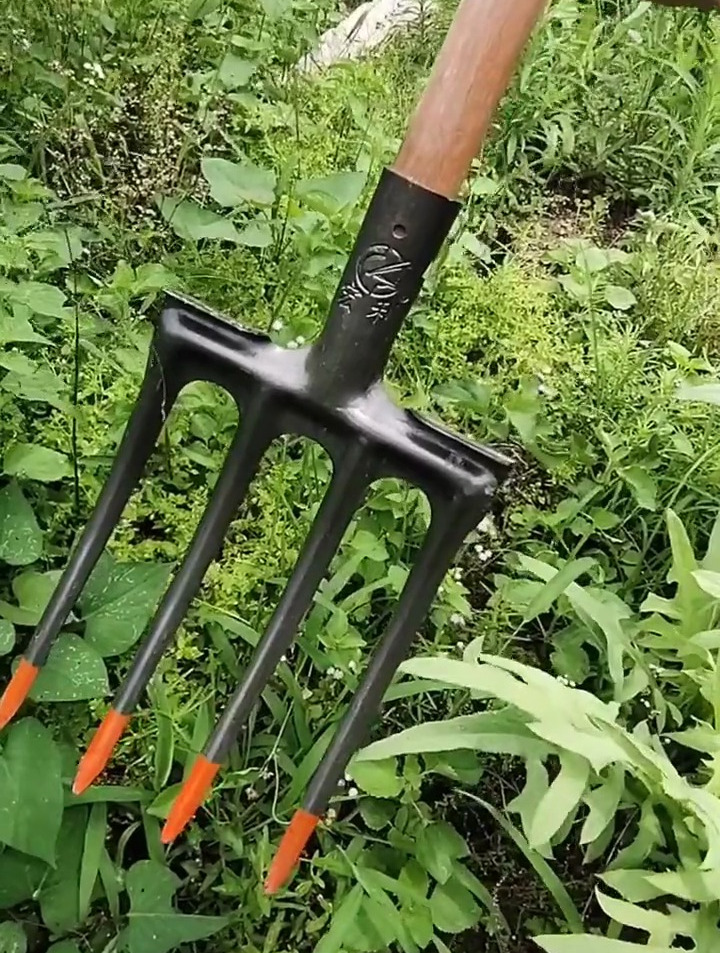 四个齿的钢叉,你们见过吗,坚固耐用,翻个地太方便了吧