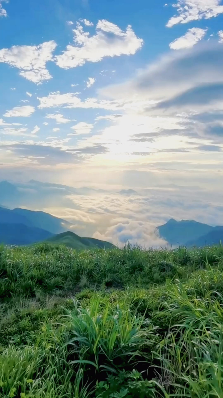 你本来就是天上绝色,属于璀璨星河,满目山河