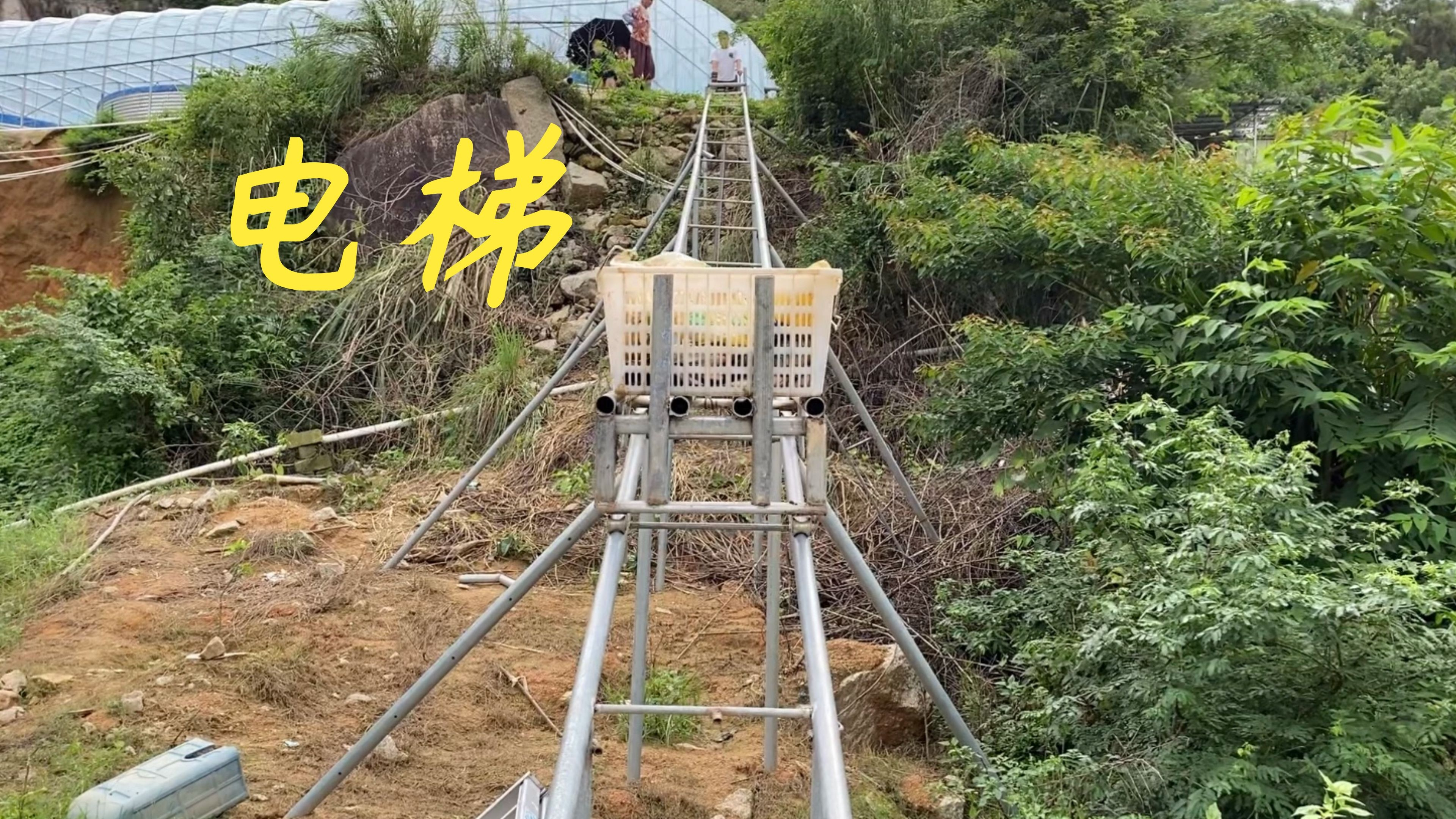 老林这口土塘的罗非鱼幸福了,为了弄上去养脆罗非,专门建条电梯