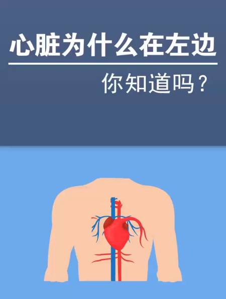 你是哪个万里挑一的,心脏在右边的人吗?-度小视