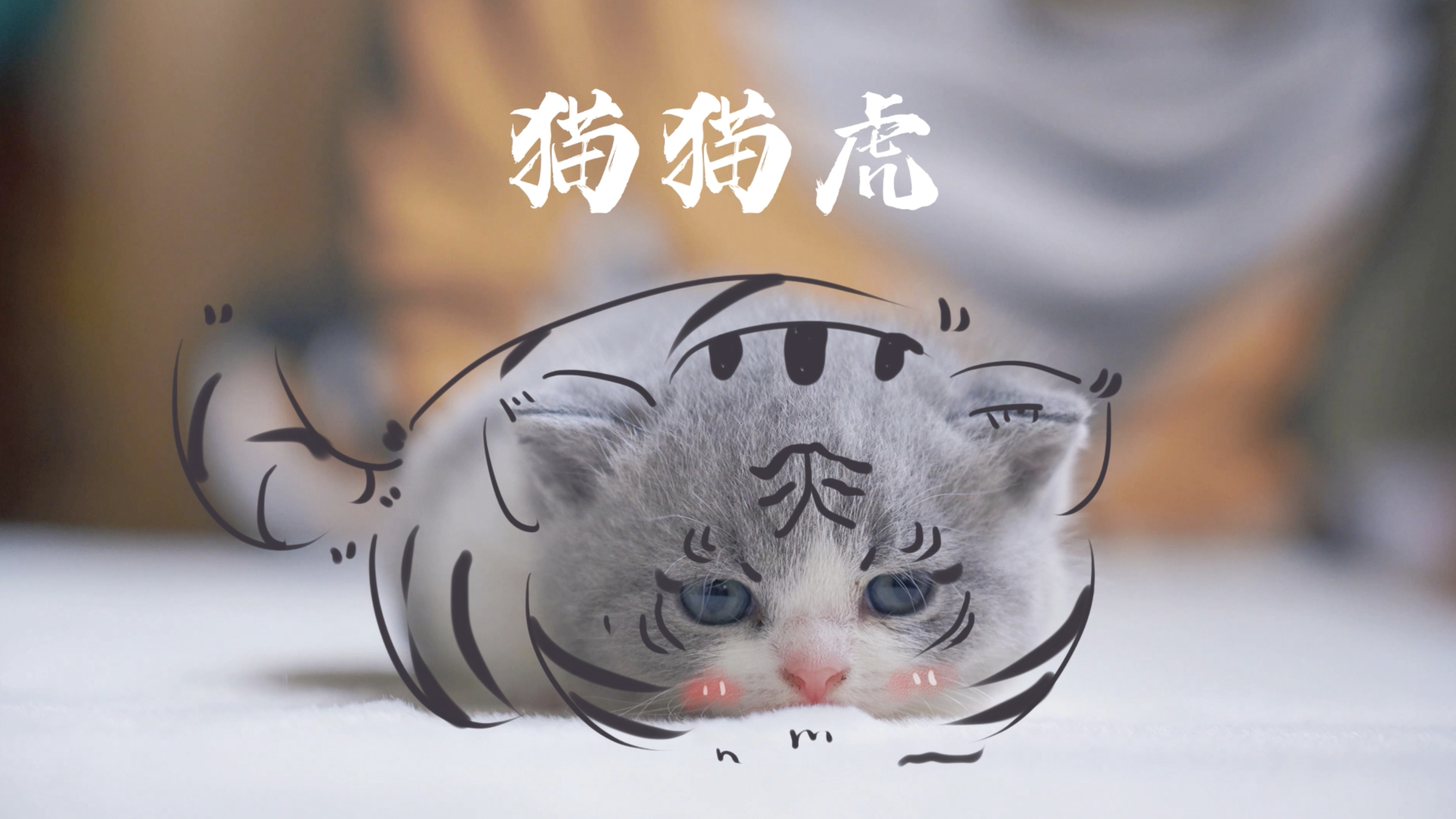 真《照猫画虎》,虎年特供小奶虎表情包&壁纸