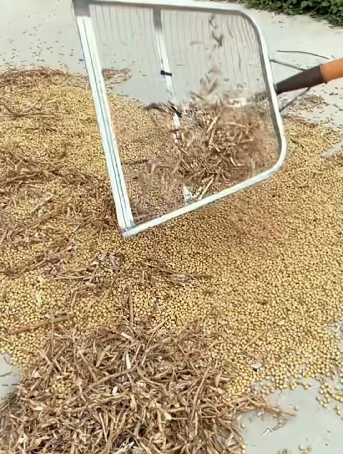 这是铁锹和筛子的合体筛玉米花生沙子再也不用弯腰了