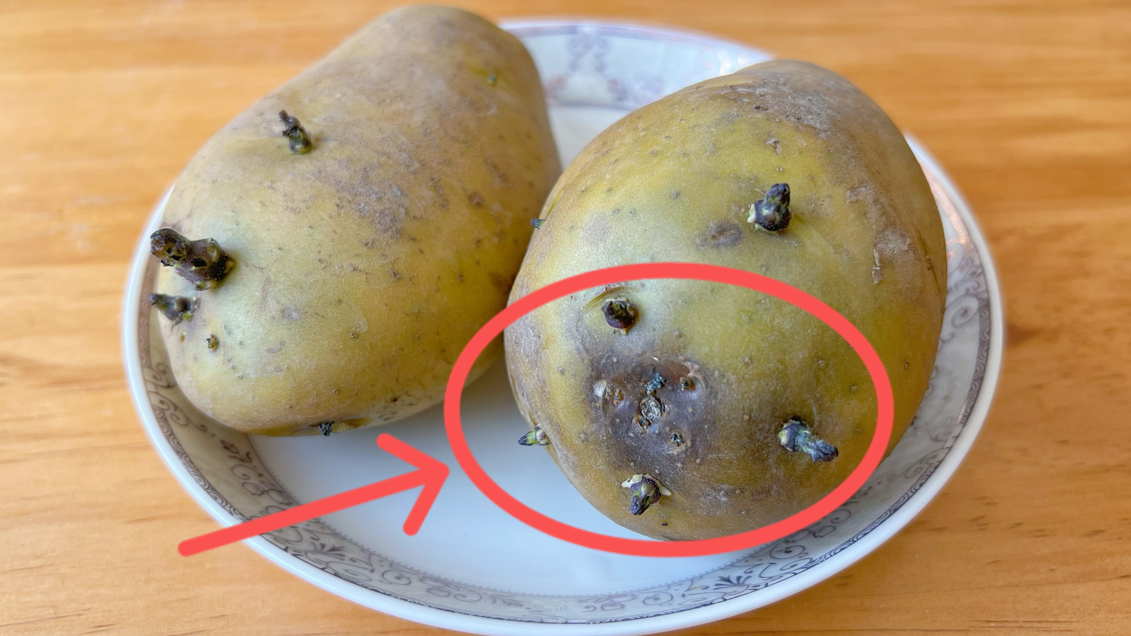 发芽的土豆千万别扔掉，它的这些用途可能你一个也不知道，真实用