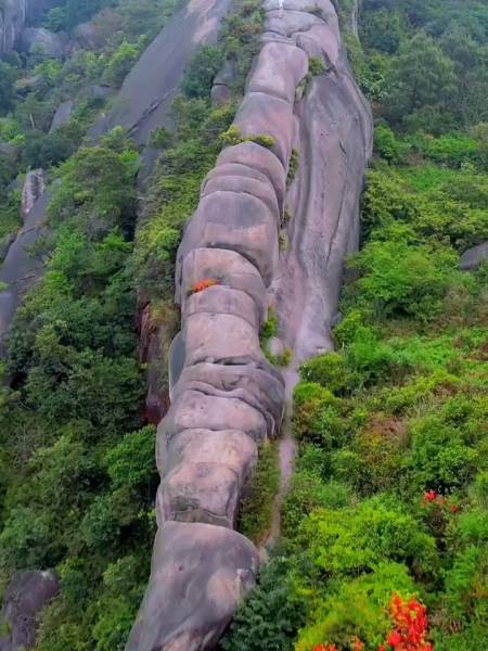 温州大罗山龙脊是大自然的鬼斧神工天上之作犹如巨龙龙脊