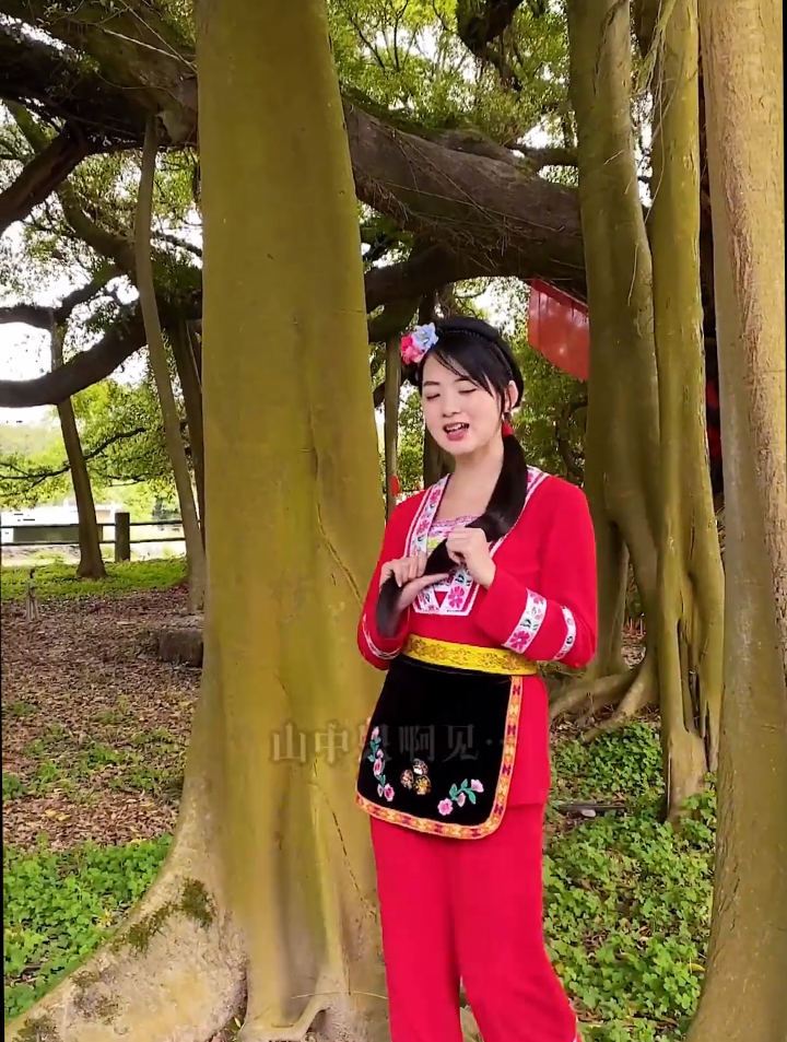山中只见藤缠树,世上哪见树缠藤-度小视