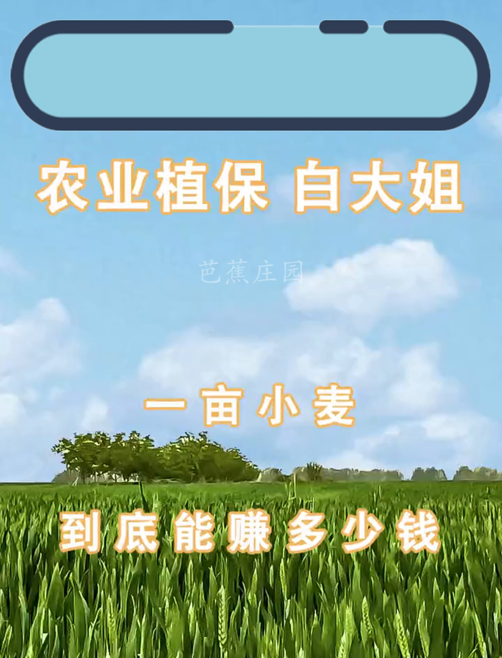 一亩地赚多少钱一年(一亩地赚多少钱一年利润)