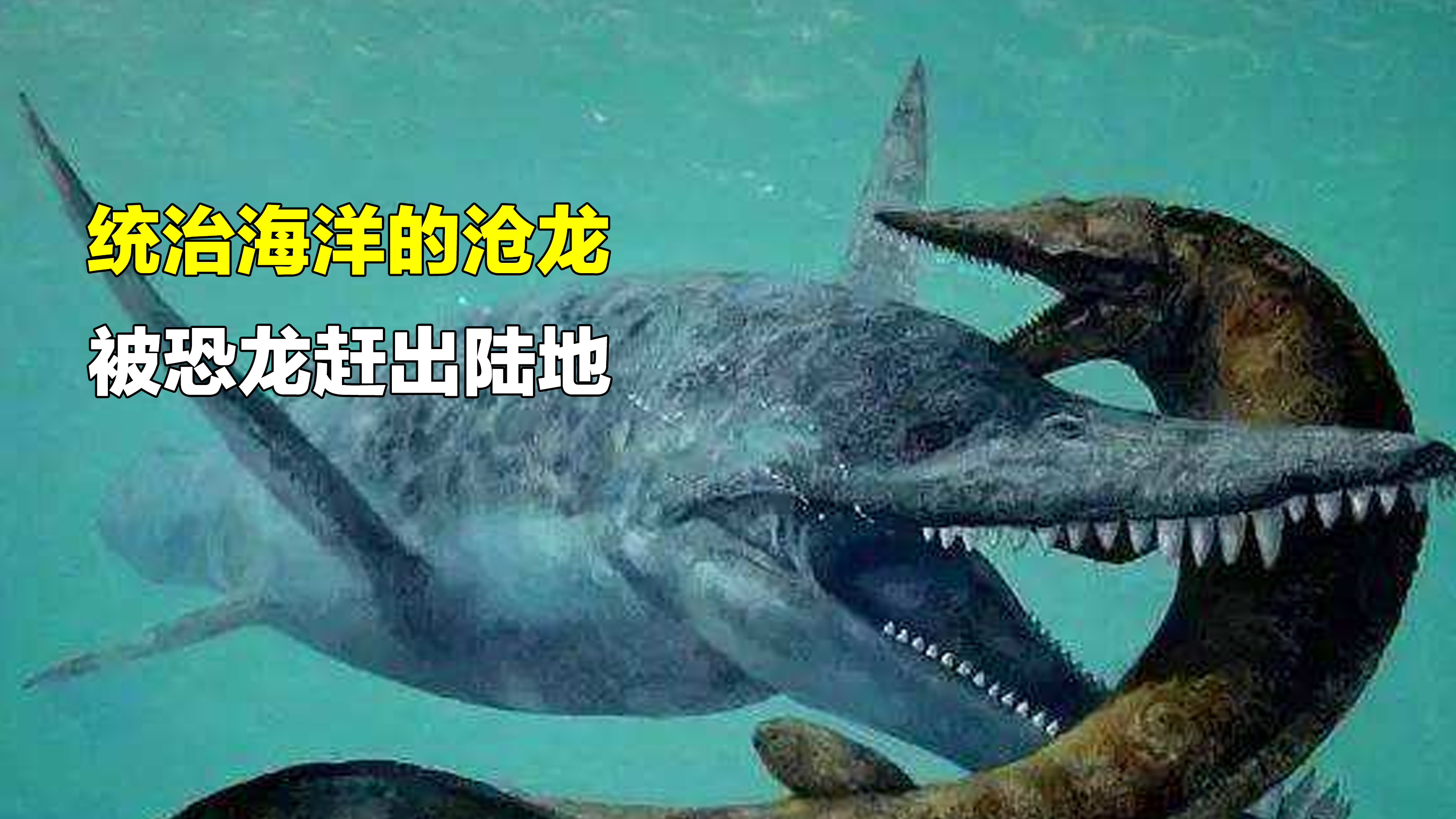 沧龙有多恐怖,曾经被恐龙赶出陆地,成为海洋中的顶级掠食者