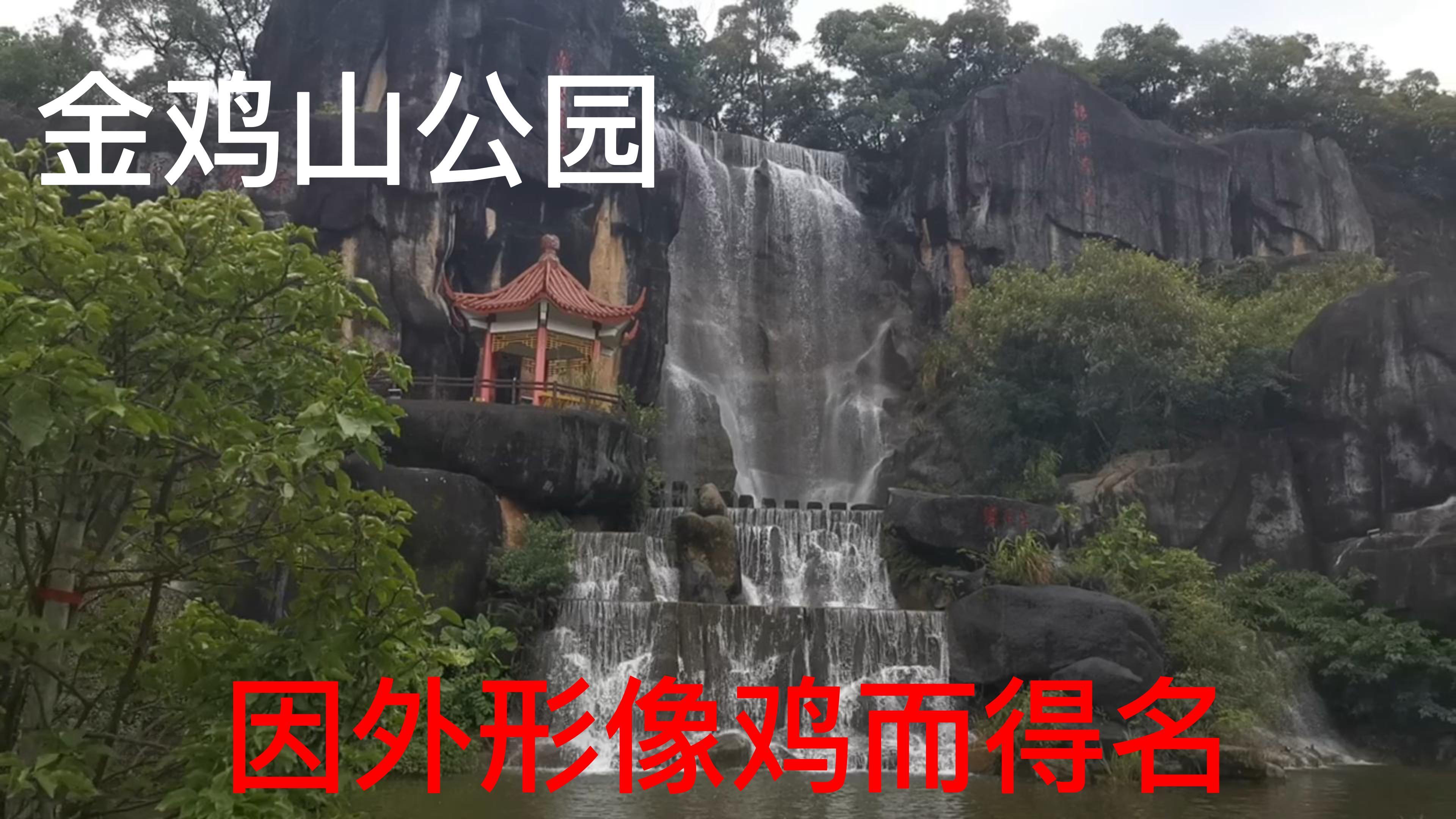 探访福州金鸡山公园,一座被负氧离子包围的山,因外形像鸡而得名