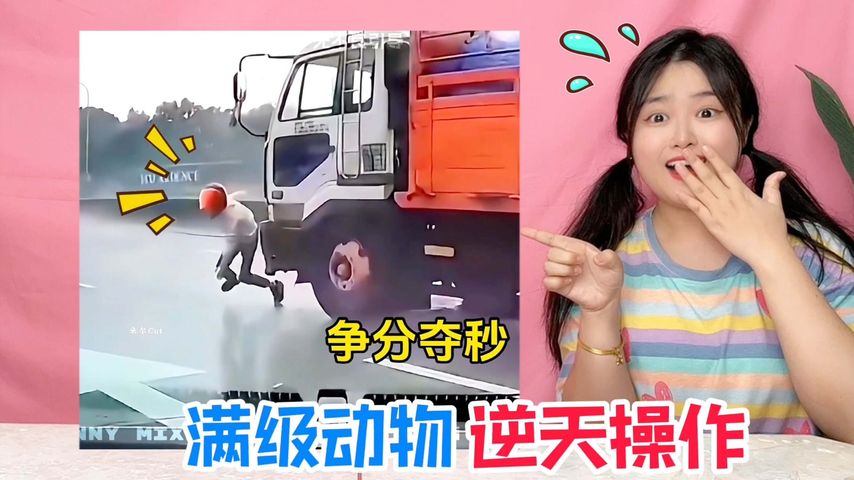 满级动物“逆天日常”!腿蹬狮子VS车底逃生,谁从鳄鱼池逃亡?