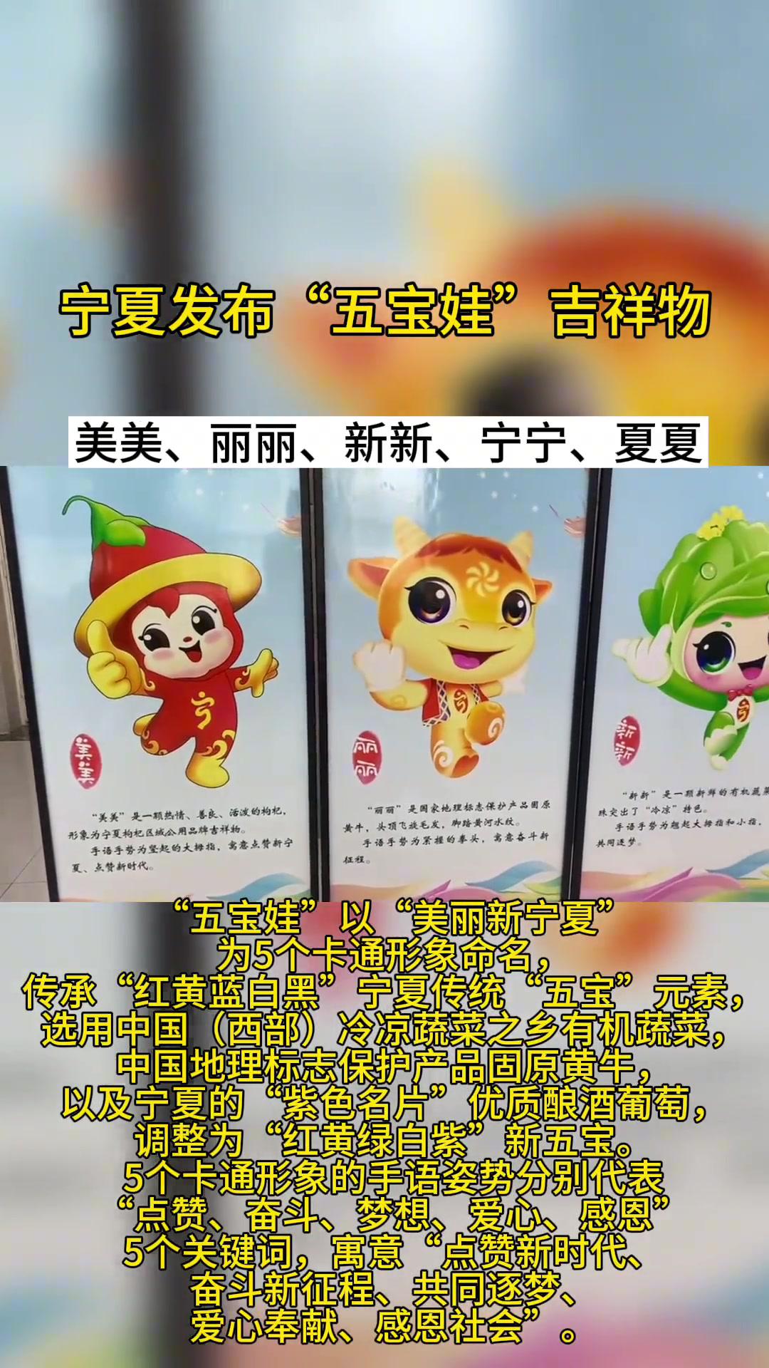 宁夏发布五宝娃吉祥物宁夏