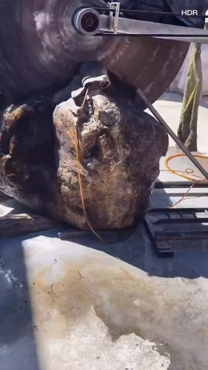 重达半吨的翡翠原石,现场切割过程!这么大料子能否切出上品玉肉