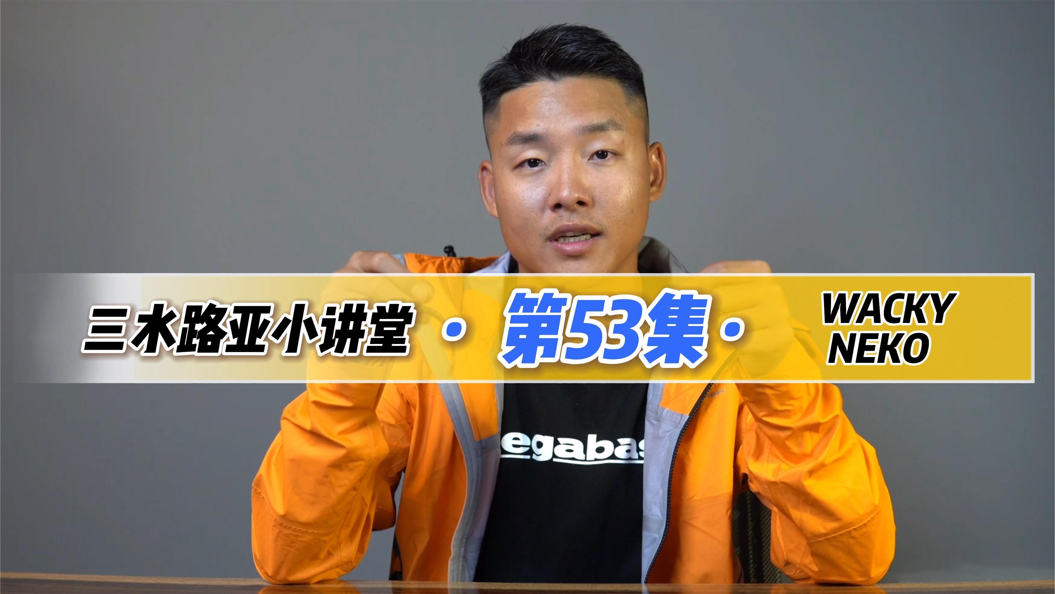 路亚鲈鱼钓法,必备钓组wacky和neko