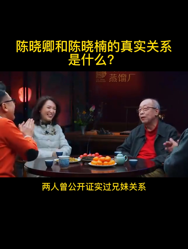 陈晓楠与陈晓卿图片