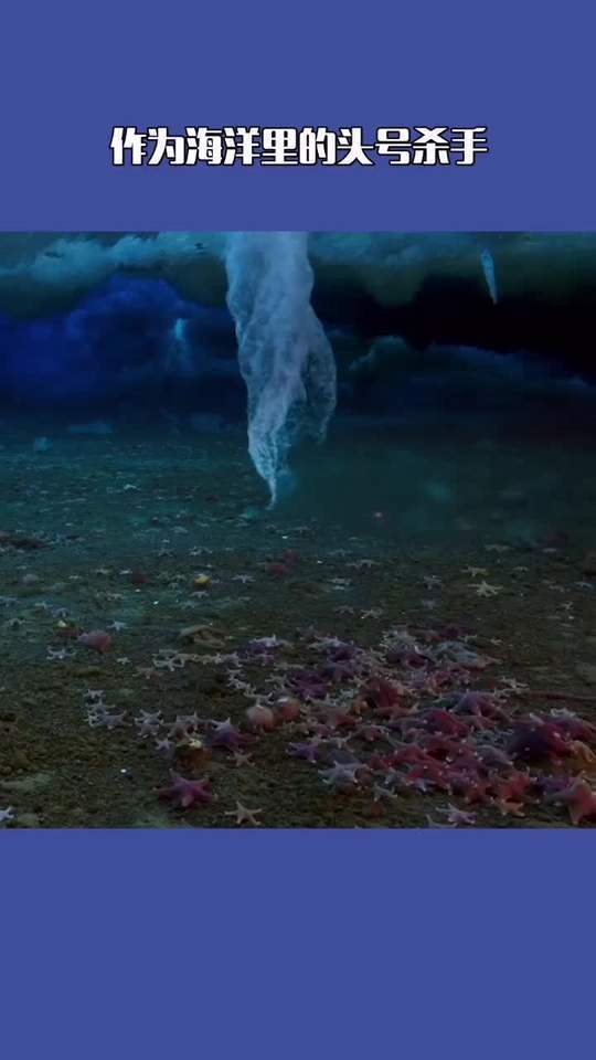海洋里的死亡冰柱,非常神奇的现象