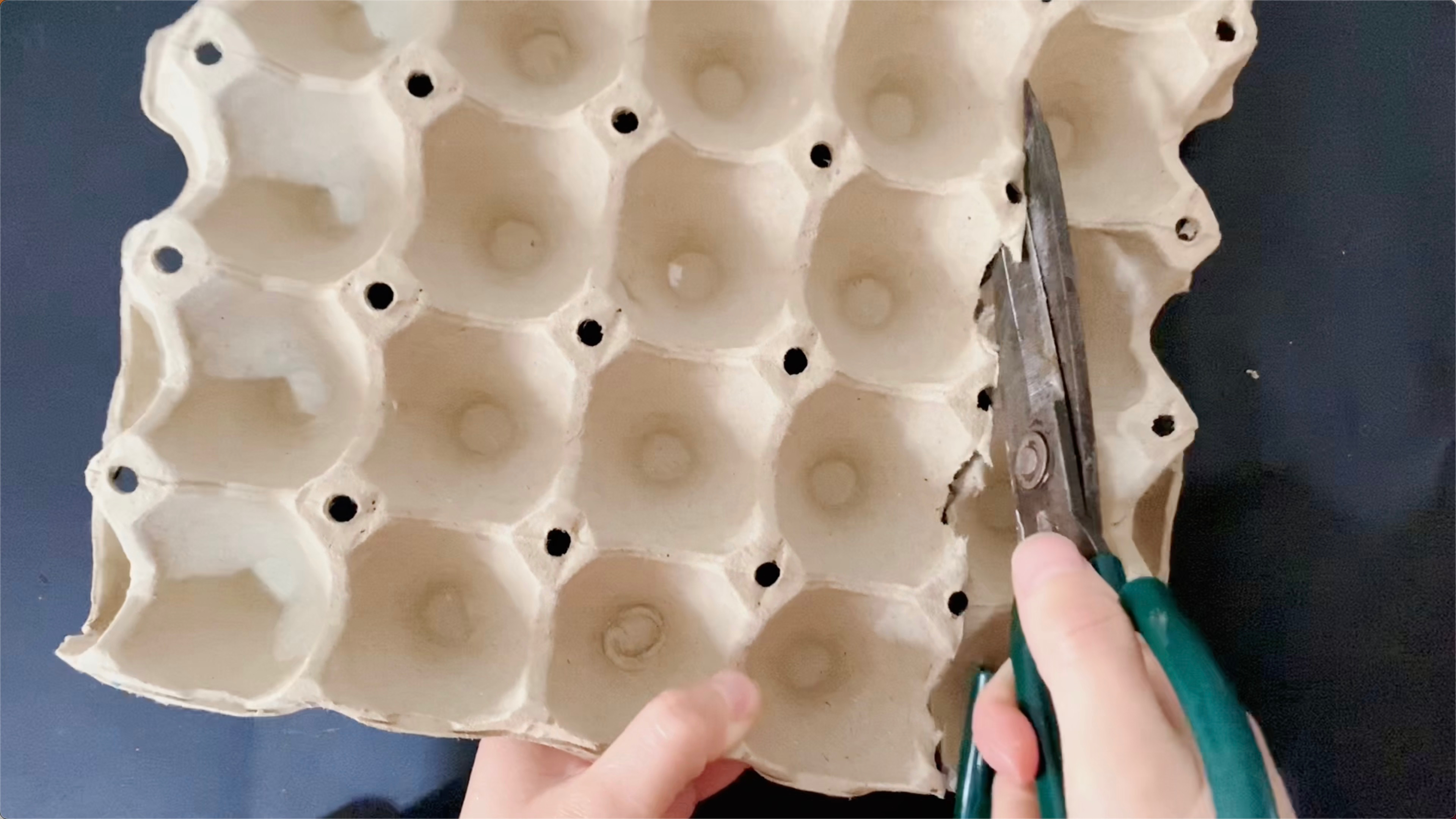 鸡蛋底座留着,多亏网友提醒,原来剪一剪,成品别提有多漂亮了