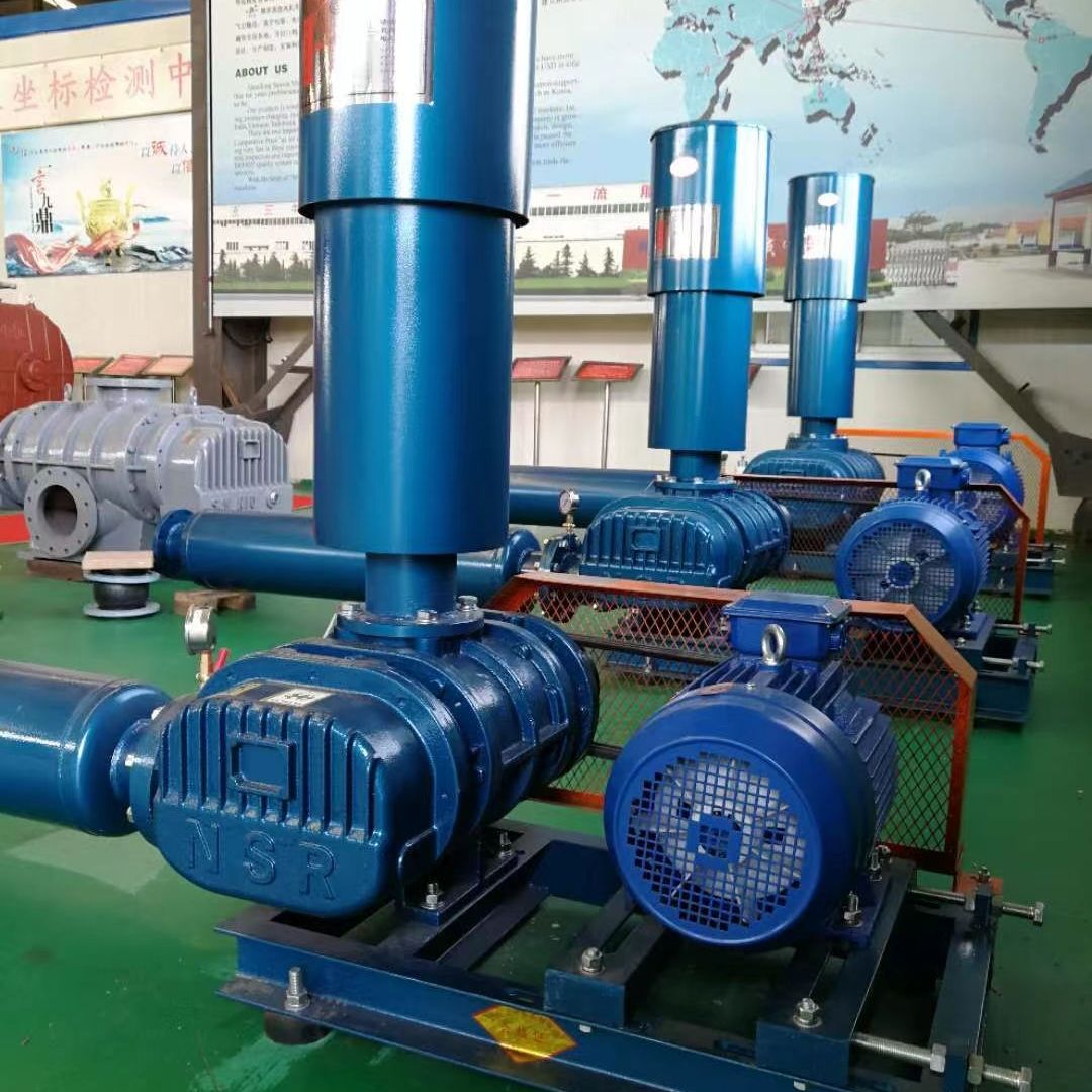 罗茨风机结构图