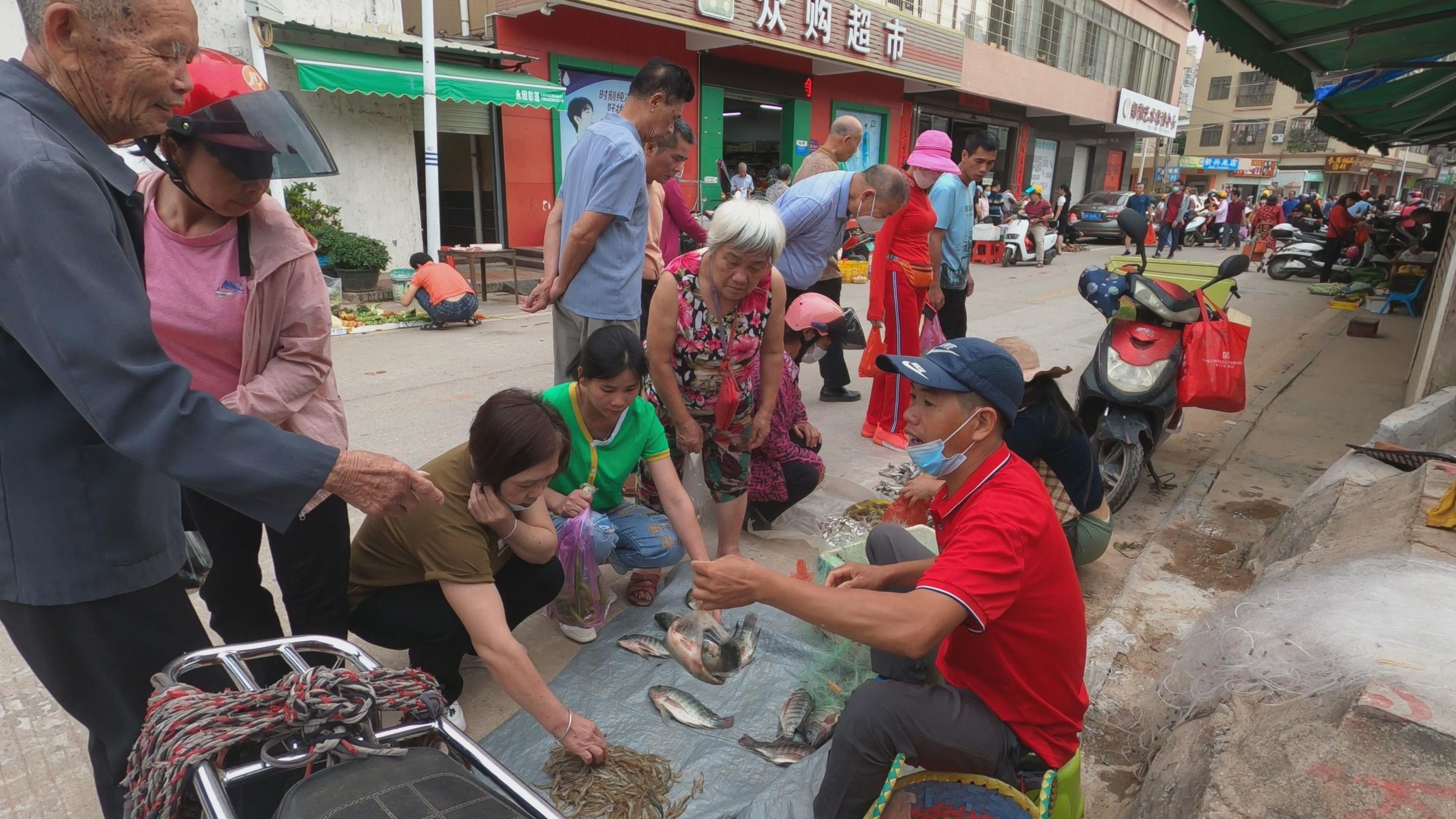 小池在菜市场卖鱼虾,罗非鱼引来一群人围观,一下子就赚一大袋钱