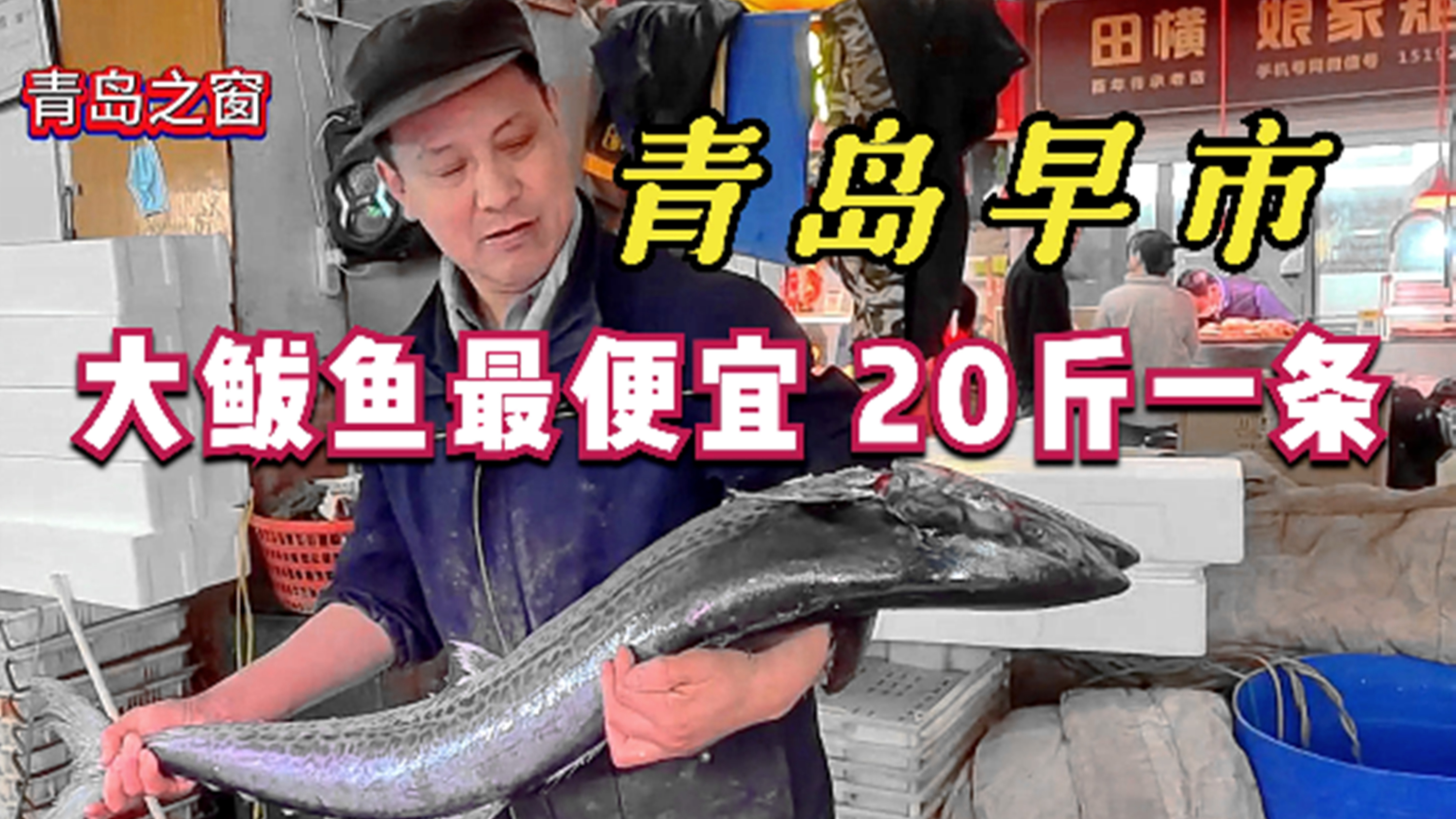 青岛早市,大鲅鱼20斤一条,长度1.5米,个头大价格却最便宜