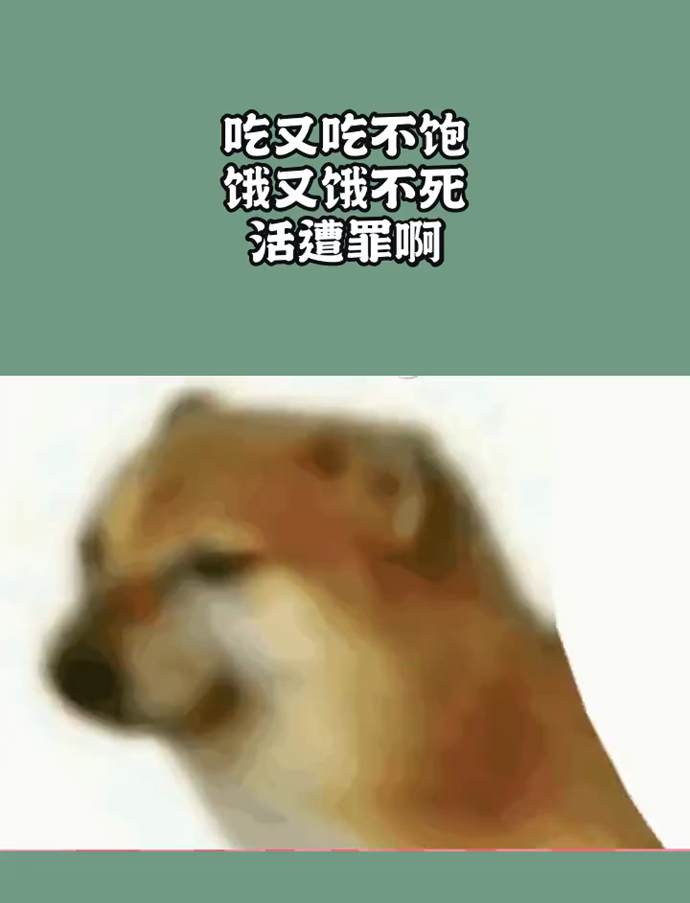 为什么不觉得饿