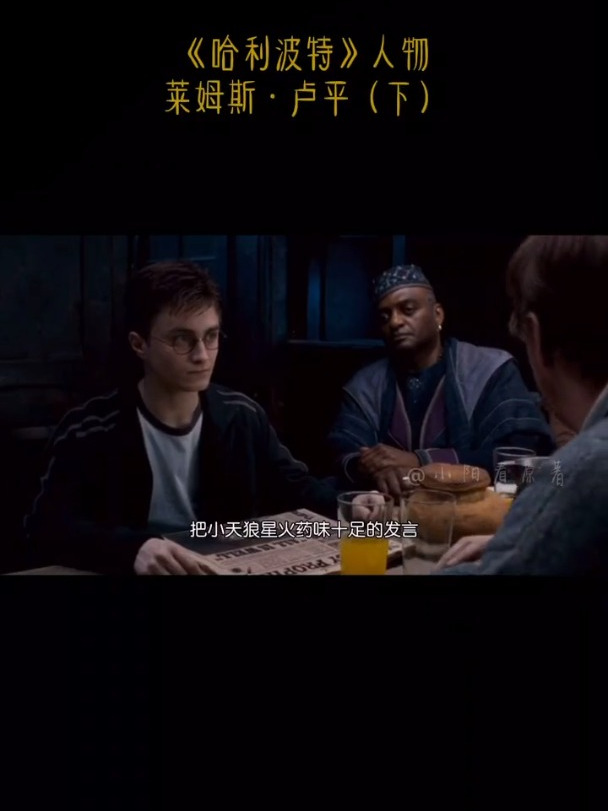 哈利波特 身为狼人,却获得了巫师界最高荣誉,英雄之名实至名归