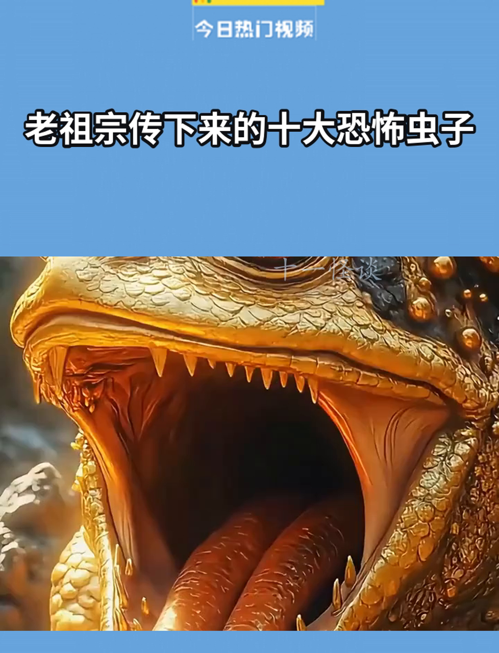 老祖宗传下来的十大恐怖虫子